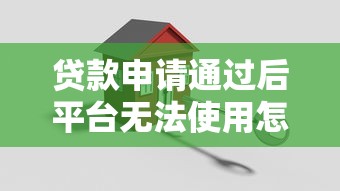 贷款申请通过后平台无法使用怎么办？实用解决指南