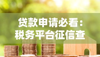 贷款申请必看：税务平台征信查询全攻略