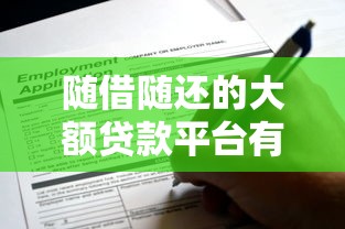 随借随还的大额贷款平台有哪些？2023年靠谱推荐及申请攻略