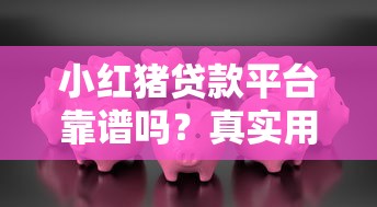 小红猪贷款平台靠谱吗？真实用户评测+避坑指南