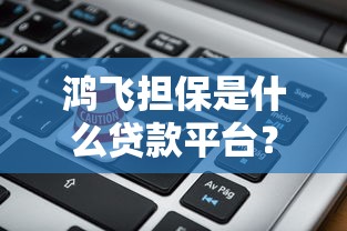鸿飞担保是什么贷款平台？资质查询与贷款服务解析