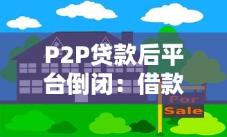P2P贷款后平台倒闭：借款人如何应对风险与法律维权