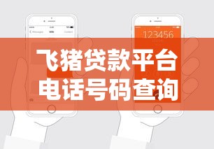 飞猪贷款平台电话号码查询及使用注意事项