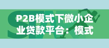 P2B模式下微小企业贷款平台：模式分析、风险控制与发展前景