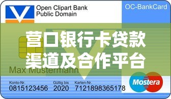 营口银行卡贷款渠道及合作平台解析