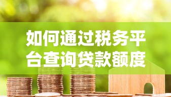 如何通过税务平台查询贷款额度？详细步骤解析