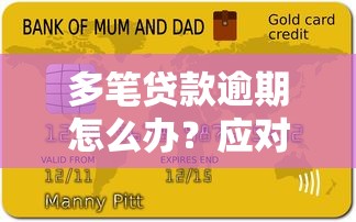 多笔贷款逾期怎么办？应对策略与后果解析
