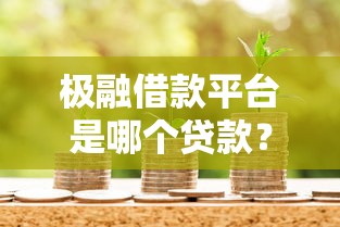 极融借款平台是哪个贷款？资质审核及产品解析