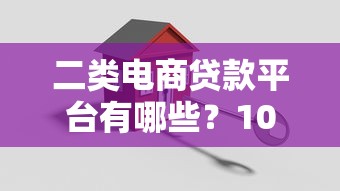 二类电商贷款平台有哪些？10家机构及申请攻略解析