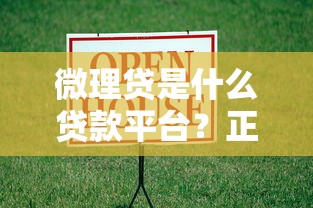 微理贷是什么贷款平台？正规靠谱吗？全面解析
