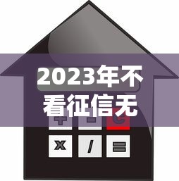 2023年不看征信无抵押贷款平台推荐及申请攻略