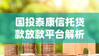 国投泰康信托贷款放款平台解析及合作渠道说明
