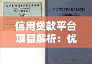 信用贷款平台项目解析：优势、风险及选择指南