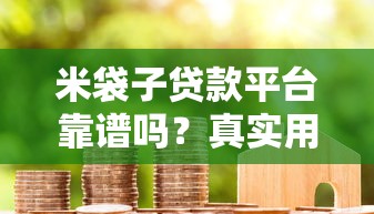 米袋子贷款平台靠谱吗？真实用户评测与申请攻略