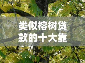 类似榕树贷款的十大靠谱平台推荐及申请攻略