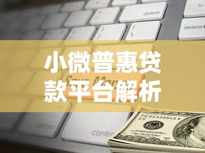 小微普惠贷款平台解析：助力小微企业发展的金融利器