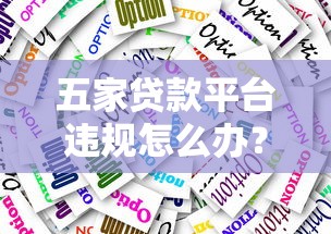 五家贷款平台违规怎么办？应对措施与维权指南