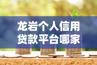 龙岩个人信用贷款平台哪家好？本地人推荐的5大渠道