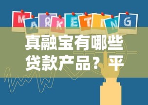 真融宝有哪些贷款产品？平台合作机构及申请流程详解
