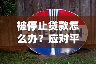 被停止贷款怎么办？应对平台停贷的实用指南