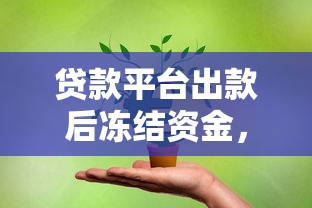 贷款平台出款后冻结资金，这些原因和解决办法要牢记
