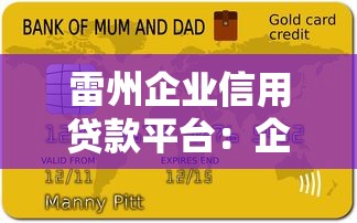 雷州企业信用贷款平台：企业主必看的申请条件与流程指南
