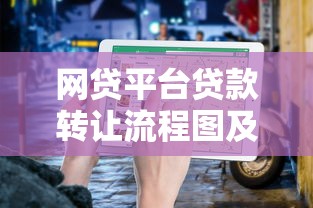 网贷平台贷款转让流程图及操作指南