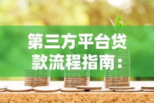 第三方平台贷款流程指南：手把手教你安全借款