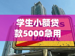征信花了借款下不来吗？这三个口子秒到账亲测有效