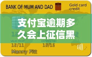 支付宝逾期多久会上征信黑名单 实测3天宽限期后必上信用报告