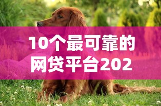 10个最可靠的网贷平台2025年最新评测，老哥亲测稳如狗