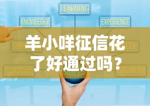 羊小咩征信花了好通过吗？实测分享征信花了也能秒批的秘籍