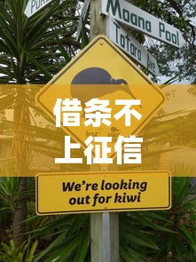 借条不上征信怎么办 这三个隐藏渠道亲测有效