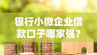 银行小微企业借款口子哪家强？老司机实测5家低息放款快的平台