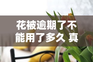 花被逾期了不能用了多久 真实经历告诉你恢复时间与替代口子