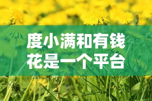 度小满和有钱花是一个平台吗？深度揭秘两者真实关系