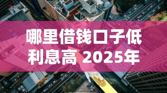 哪里借钱口子低利息高 2025年实测5个靠谱平台