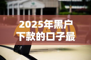 2025年黑户下款的口子最新实测，这三个平台秒过不查征信！