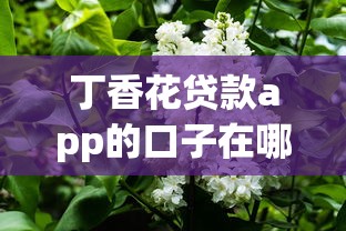丁香花贷款app的口子在哪里 最新申请入口及下款攻略