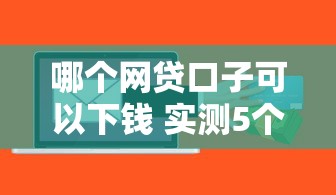哪个网贷口子可以下钱 实测5个秒到账的良心平台