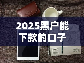 2025黑户能下款的口子还有吗？这几个平台真能下款！