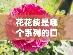 花花侠是哪个系列的口子？揭秘这个靠谱网贷平台的真实背景