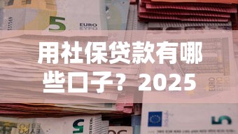 用社保贷款有哪些口子？2025最新靠谱平台实测推荐！