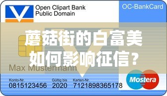 蘑菇街的白富美如何影响征信？揭秘分期购物背后的信用秘密