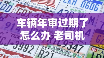 车辆年审过期了怎么办 老司机教你3招补救还省钱