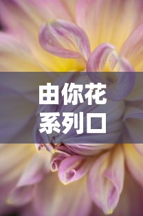 由你花系列口子哪些靠谱？2025最新实测推荐