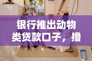 银行推出动物类贷款口子，撸羊毛还能养宠物两不误