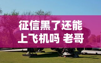 征信黑了还能上飞机吗 老哥亲测这5招照样飞全国