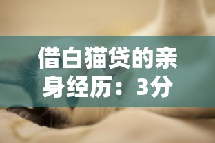 借白猫贷的亲身经历：3分钟到账秒杀同行，老哥我直接泪目
