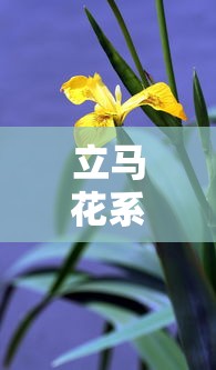 立马花系列口子还有哪些？最新靠谱推荐实测分享